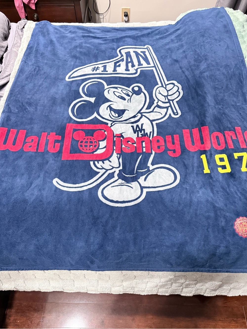 Walt Disney World Blanket